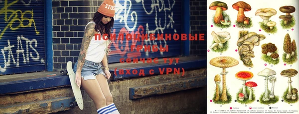 ПСИЛОЦИБИНОВЫЕ ГРИБЫ Бородино