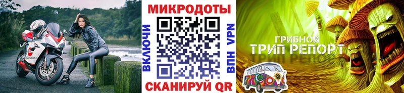 mega онион  Петушки  Галлюциногенные грибы мицелий 
